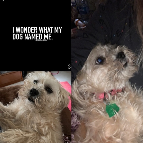 Meet your Posher, April - Picture 2 of 4